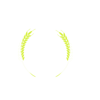 rice-padel_2_png_3-5-23-1